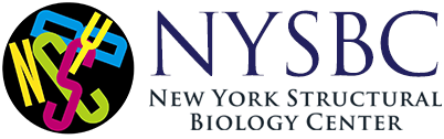 NYSBC Logo