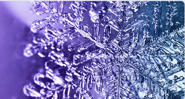 3DED/MicroED Short Course