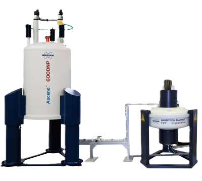 Bruker 600 MHz DNP AVANCE III